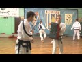 Taekwondo w Lubartowie Sportowy Lubartów 2013